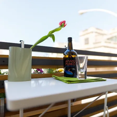 Terravera 테라시니